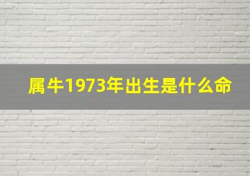 属牛1973年出生是什么命