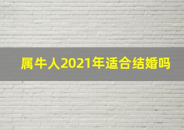 属牛人2021年适合结婚吗