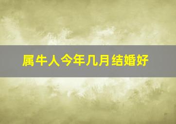 属牛人今年几月结婚好