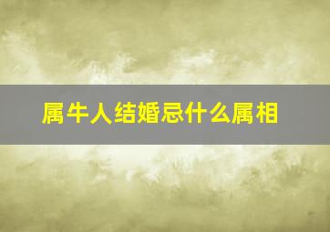 属牛人结婚忌什么属相