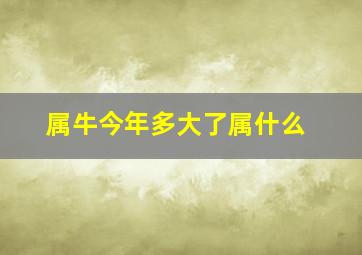 属牛今年多大了属什么