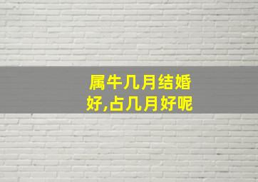 属牛几月结婚好,占几月好呢