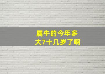 属牛的今年多大7十几岁了啊