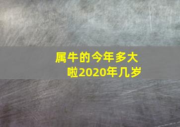 属牛的今年多大啦2020年几岁