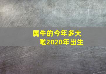 属牛的今年多大啦2020年出生