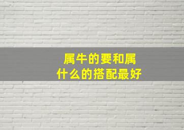 属牛的要和属什么的搭配最好