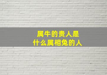 属牛的贵人是什么属相兔的人