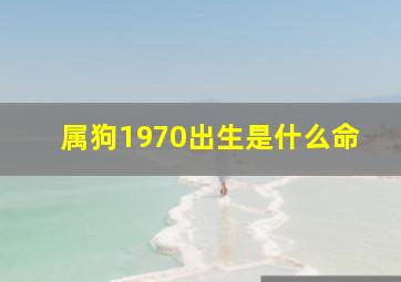 属狗1970出生是什么命