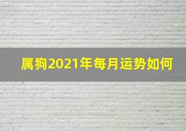 属狗2021年每月运势如何