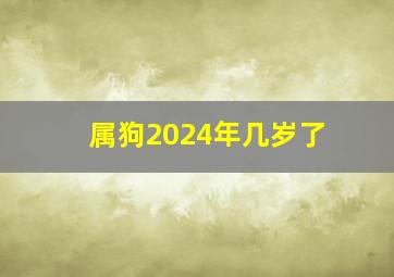 属狗2024年几岁了