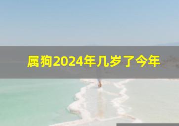 属狗2024年几岁了今年