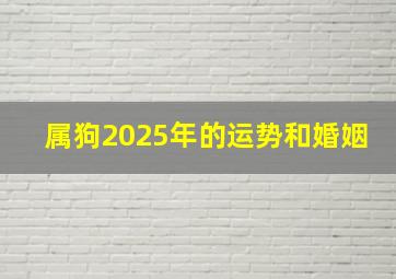 属狗2025年的运势和婚姻