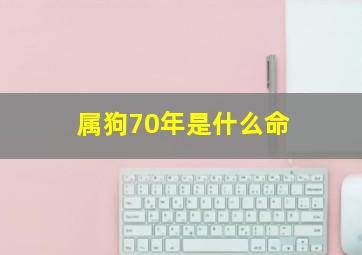 属狗70年是什么命