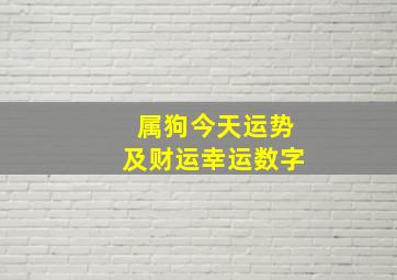 属狗今天运势及财运幸运数字