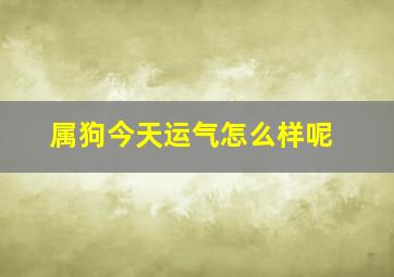 属狗今天运气怎么样呢