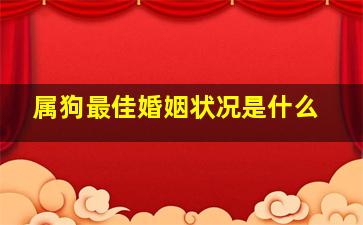 属狗最佳婚姻状况是什么