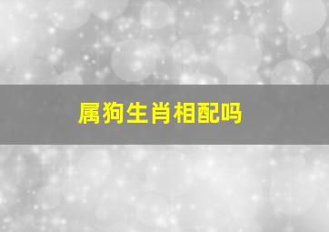 属狗生肖相配吗