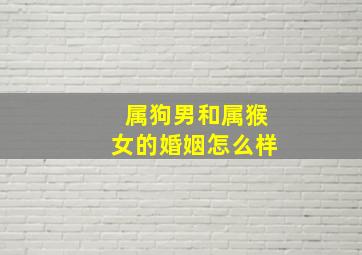 属狗男和属猴女的婚姻怎么样