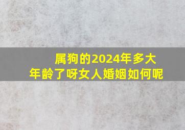 属狗的2024年多大年龄了呀女人婚姻如何呢