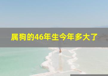 属狗的46年生今年多大了