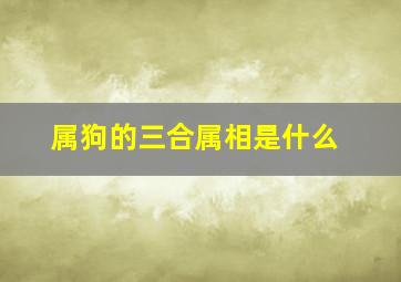 属狗的三合属相是什么