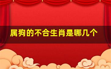 属狗的不合生肖是哪几个