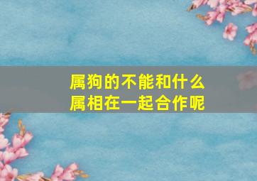 属狗的不能和什么属相在一起合作呢