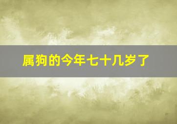 属狗的今年七十几岁了