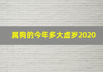 属狗的今年多大虚岁2020