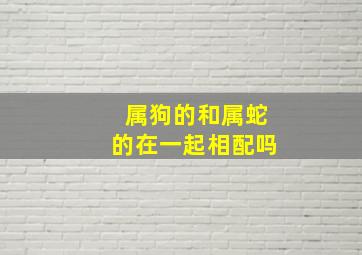 属狗的和属蛇的在一起相配吗