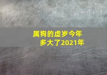 属狗的虚岁今年多大了2021年