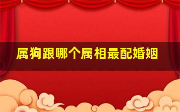 属狗跟哪个属相最配婚姻