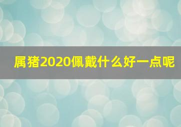 属猪2020佩戴什么好一点呢