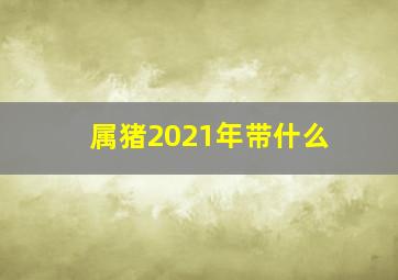 属猪2021年带什么