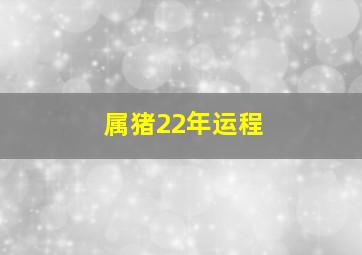 属猪22年运程