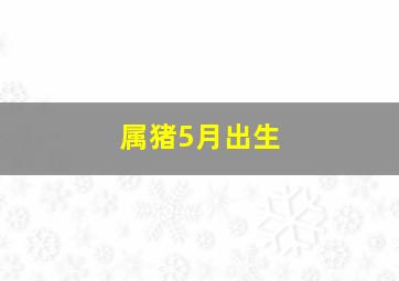 属猪5月出生