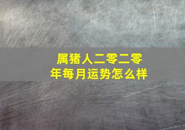 属猪人二零二零年每月运势怎么样