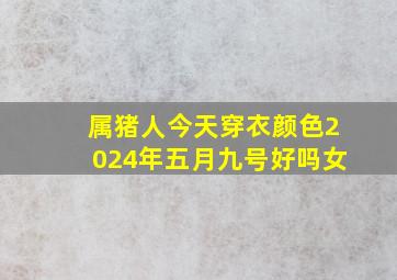 属猪人今天穿衣颜色2024年五月九号好吗女