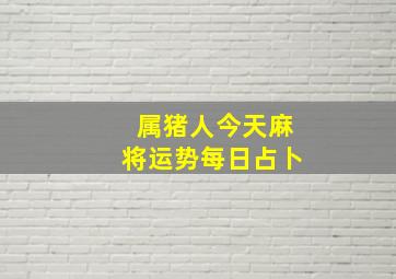 属猪人今天麻将运势每日占卜