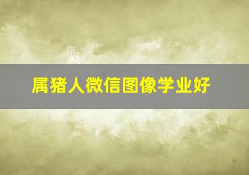 属猪人微信图像学业好