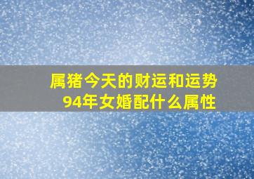 属猪今天的财运和运势94年女婚配什么属性