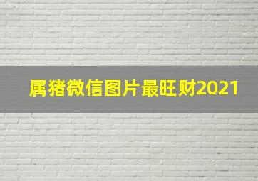 属猪微信图片最旺财2021