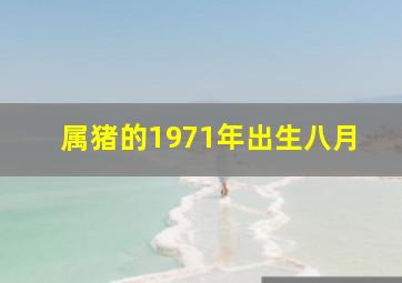 属猪的1971年出生八月