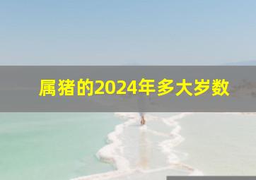 属猪的2024年多大岁数