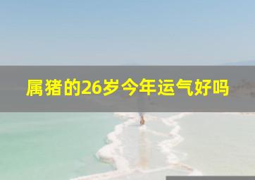 属猪的26岁今年运气好吗