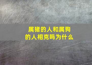 属猪的人和属狗的人相克吗为什么