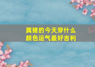 属猪的今天穿什么颜色运气最好吉利