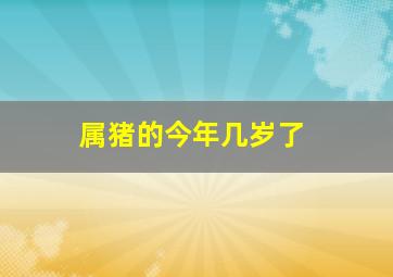 属猪的今年几岁了