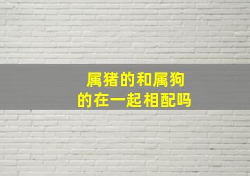 属猪的和属狗的在一起相配吗