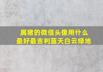 属猪的微信头像用什么最好最吉利蓝天白云绿地